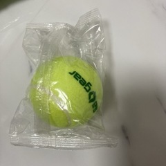 新品テニスボール