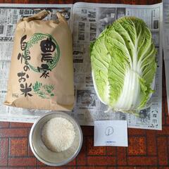 【お取引先決定済み】お米10kgと白菜のセット①