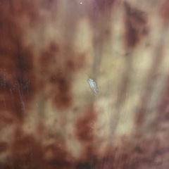 国産　オガサカ製スノーボード　153cm DEVGRU 定価72000