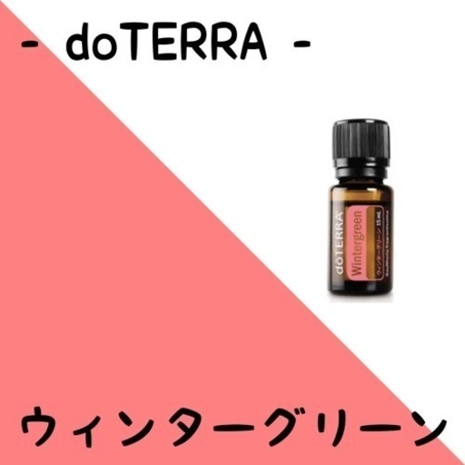 doTERRAウィンターグリーン
