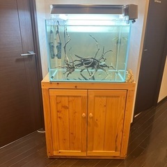 引き取りのみ ADA 60cm水槽フルセット 淡水 まとめ売り 兵庫