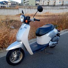 【配送可能】ホンダ　トゥデイ　シルバー　原付　50cc　バイク　...