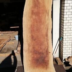 ケヤキ無垢材①