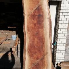 ケヤキ無垢材①