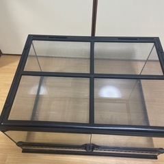 エキゾテラ　グラステラリウム6030 GEX EXOTERRA