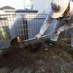 【抜根】ミカンの木の抜根作業してきました。｜枡横に木を植えるの禁...