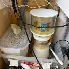 海水水槽セット 6点