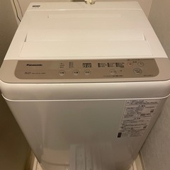 Panasonic 5.0 big wave wash