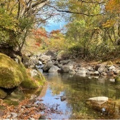 渓流釣り　ルアー　仲間募集