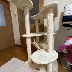 キャットタワー（使用感有り）