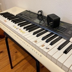 CASIO 電子ピアノ