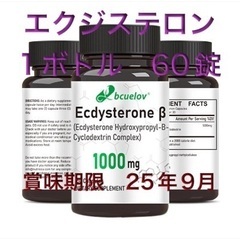 【ネット決済・配送可】エクジステロン　2ボトル　60錠×2ボトル