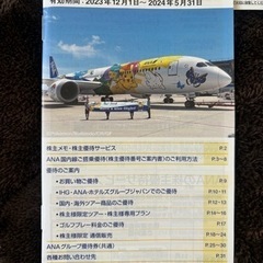 郵送可　ANAの株主優待券7枚＋グループ優待券（値下げしました)