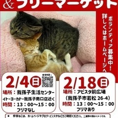 ねこ友会　2/4(日)保護猫の臨時譲渡会