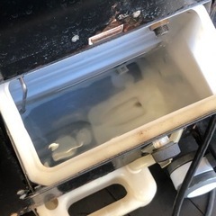 ナオモト　パルッキー