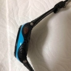 時計：スント　ベスター　ターコイズブルー限定モデル