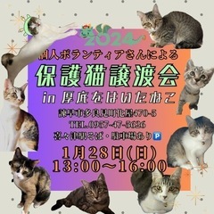 1月✩.*˚保護猫譲渡会 in 厚底をはいたねこ