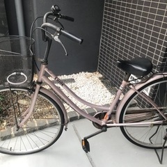 【1/31】自転車