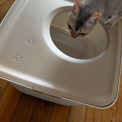 猫用システムトイレ