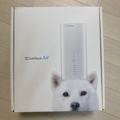 Softbank Air ターミナル4