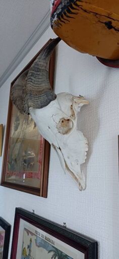 タールのスカル