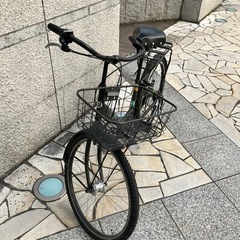 ブリヂストン　ステップクルーズ263