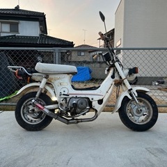 販売中です‼️HONDA シャリー  50cc 上三川町