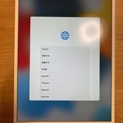 【ネット決済・配送可】iPad Pro 10.5インチ(第一世代...