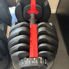 可変式ダンベル24kg✖︎1