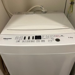 Hisense 洗濯機5.5kg HWT55D