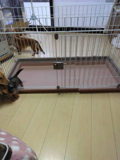 ペット用ゲージ