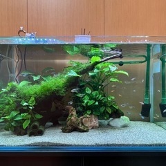 フレームレス水槽セット