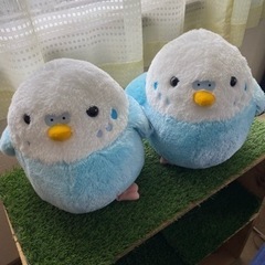 【ネット決済・配送可】インコ　ぬいぐるみ２つセット