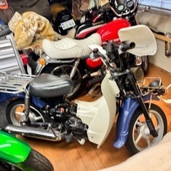 バーディ100cc 4スト