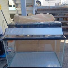 宮城仙台！600×300×400ガラス水槽セット！