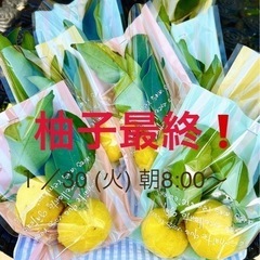 無料❣️柚子プレゼント最終❗️1/30(火)   8時〜無くなるまで