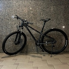 MERIDA  BIG.NINE 100 ビッグナイン100