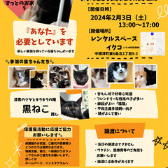 2024年2月3日(土)★保護猫の譲渡会★開催in中標津