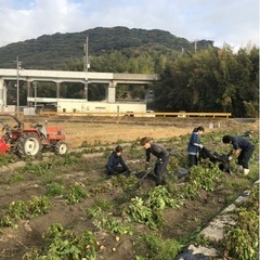 無料で野菜が持って帰れる！農業体験者募集中👩‍🌾