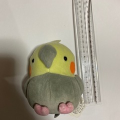 インコ　ぬいぐるみ