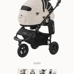 AIR BUGGY Dome2 エアバギードーム2 M