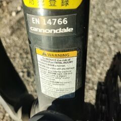 cannondail キャノンデール 自転車 サイズ L