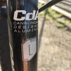 cannondail キャノンデール 自転車 サイズ L