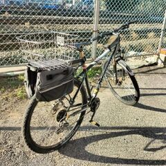 cannondail キャノンデール 自転車 サイズ L