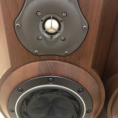音工房Z z800-fw168hrs V3 fostex