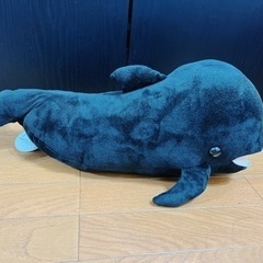 海ノ中道🌊マリンワールド🐬🫧‪ゆきちゃん♥️