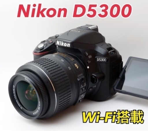 ★Nikon D5300★Wi-Fi搭載●初心者向け●カメラケース付き●   1ヶ月動作補償あり！ 安心のゆうパック代引き発送！ 送料、代引き手数料無料！