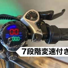 Thomas E-BIKE フル電動自転車 ひねちゃ 電動自転車