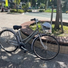 ブリジストン　アルベルト　ロイヤル