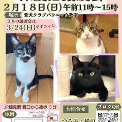 つるみ・猫のカギしっぽ譲渡会2月18日　 JR鶴見駅西口から徒歩...